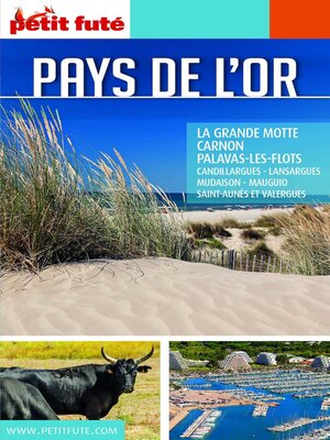 cover image of PAYS DE L'OR 2018/2019 Petit Futé